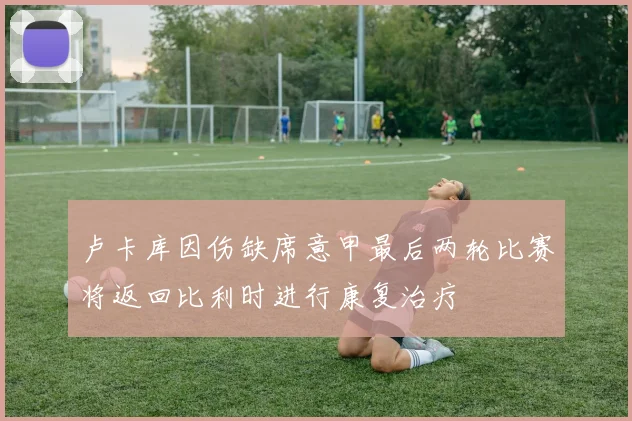 卢卡库因伤缺席意甲最后两轮比赛将返回比利时进行康复治疗