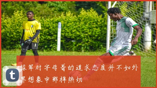绿军对字母哥的追求态度并不如外界想象中那样热切