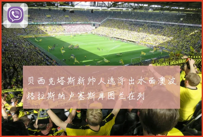 贝西克塔斯新帅人选浮出水面澳波格拉斯纳卢塞斯库图兰在列