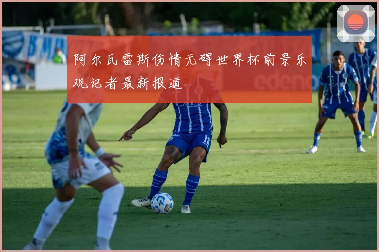阿尔瓦雷斯伤情无碍世界杯前景乐观记者最新报道